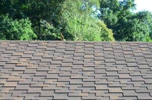 Asphalt Roof Service